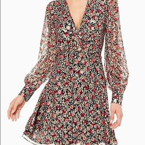 Kate Spade: Floral Park Clip Dot Dress